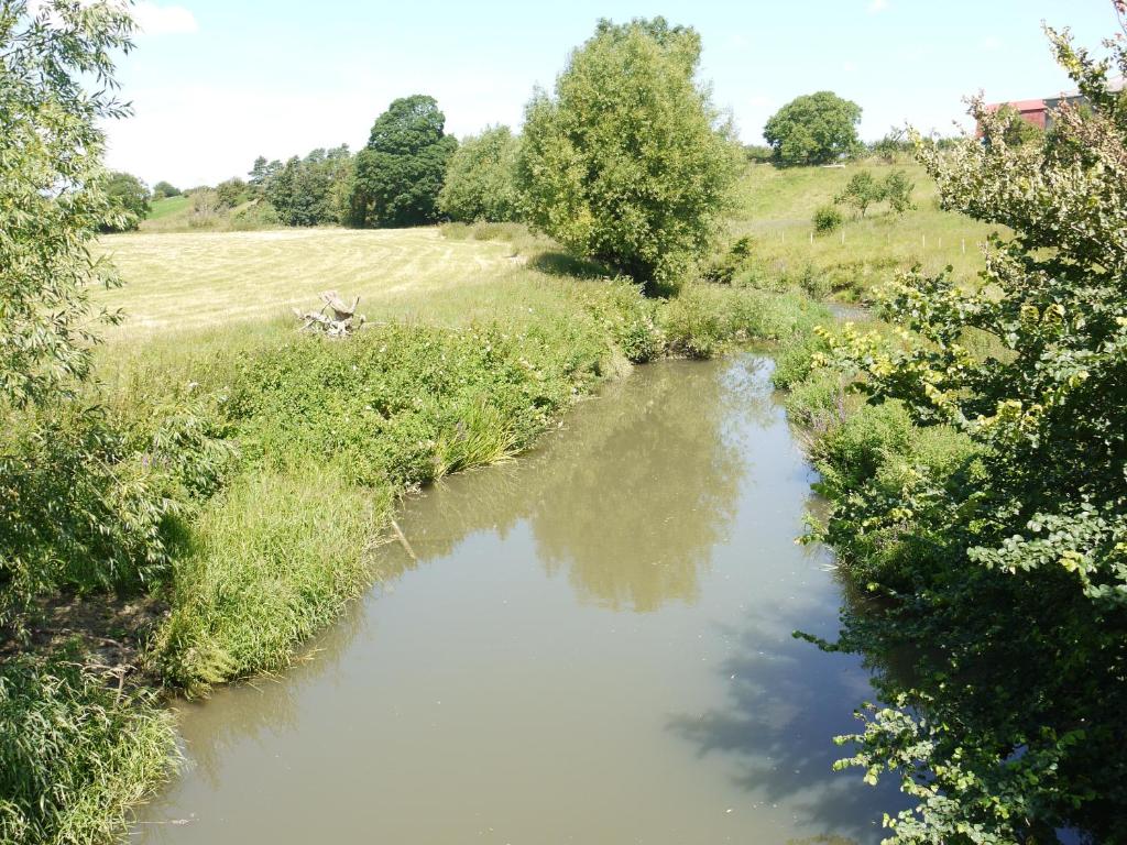 The New Inn Hotel - Resim 37