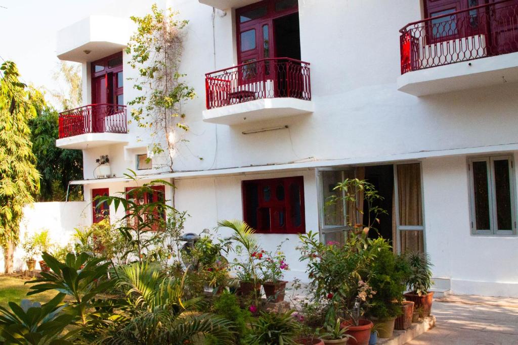 a white building with red doors and potted plants at Falcon guest house in Bharatpur