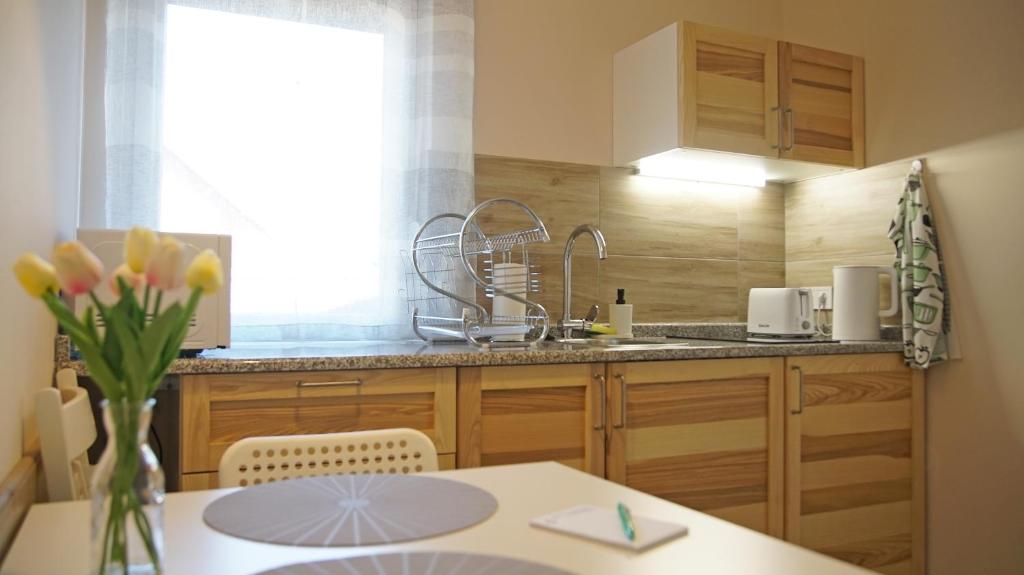 Kuchyňa alebo kuchynka v ubytovaní Fenyves Apartmanok