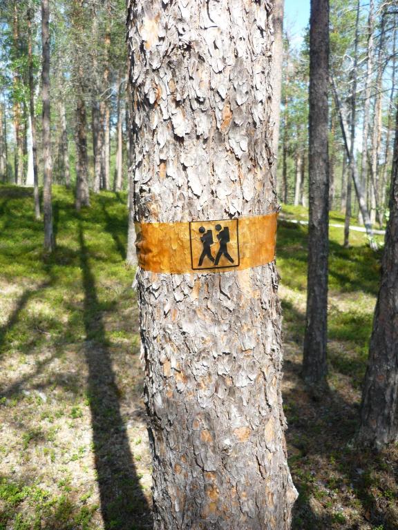 Certifikát, hodnocení, plakát nebo jiný dokument vystavený v ubytování Lemmenjoen Lumo - Nature Experience & Accommodation