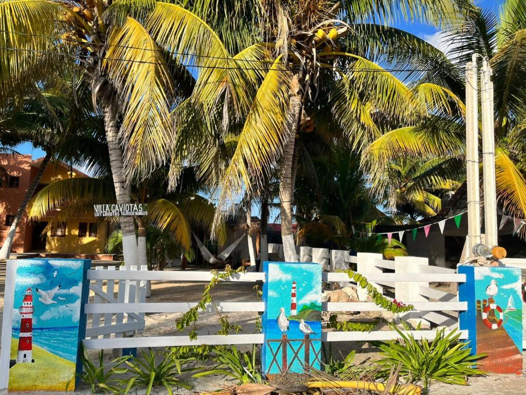 Zahrada ubytování Loft gaviota vista jardín 15 mts de playa