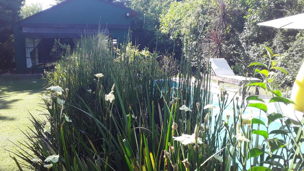 a garden with a bench and some tall grass at Loft Verde que te quiero Verde in Mercedes