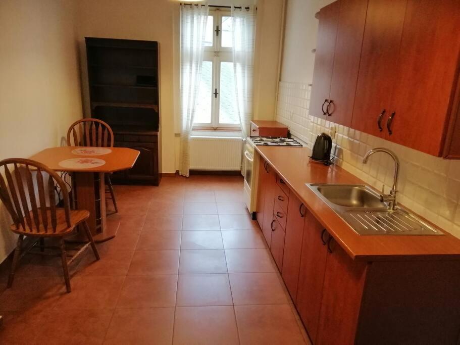 Kuchyň nebo kuchyňský kout v ubytování Apartment in city center