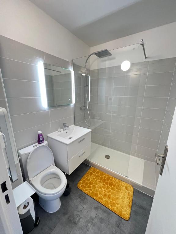 ein Bad mit einem WC, einer Dusche und einem Waschbecken in der Unterkunft Superbe Studio en résidence proche de la Mer in Cagnes-sur-Mer