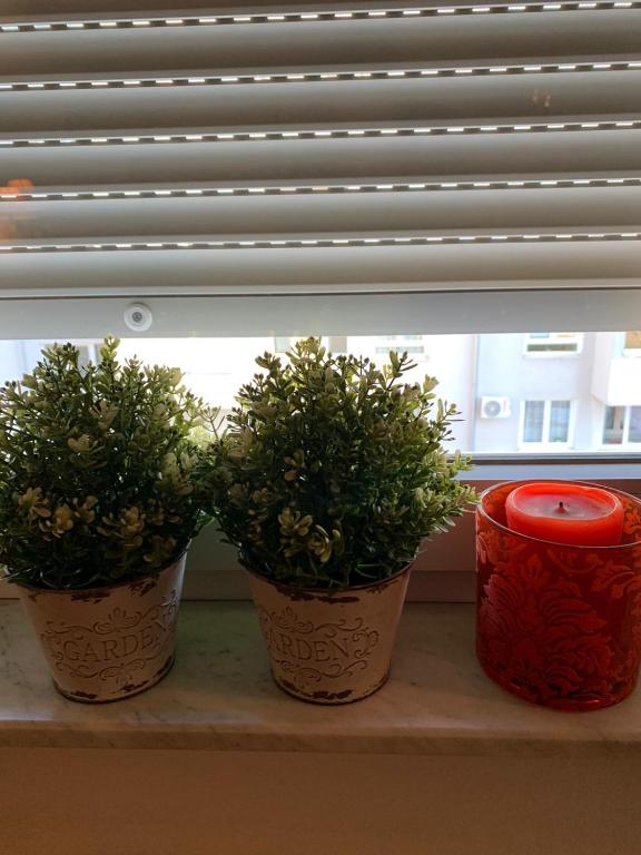 Fotografia z galérie ubytovania Šarmantni apartman Malecka 2 v Záhrebe