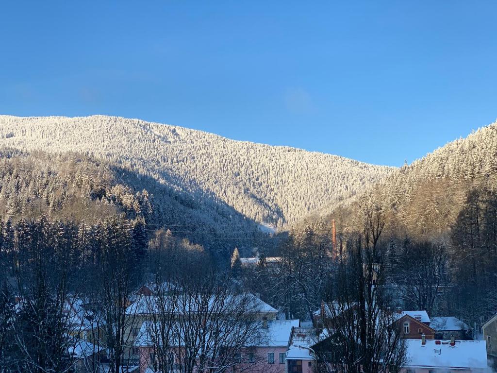 Widok na góry z tego apartamentu