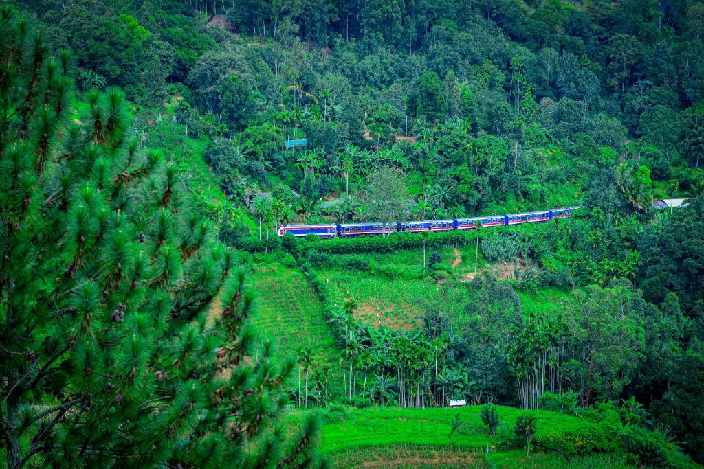 a train traveling through a lush green forest at Astral Zone Cottage Scenic Mountain view Stay Ella in Ella