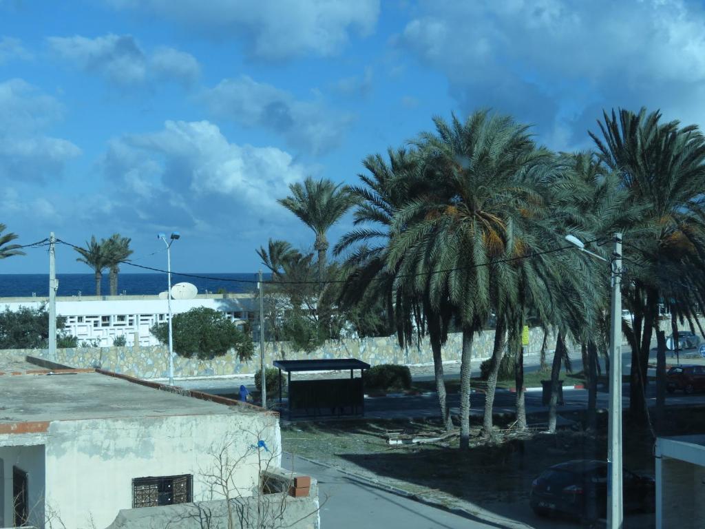a group of palm trees on a street at Beautiful appartment with a glorious sea view in Monastir