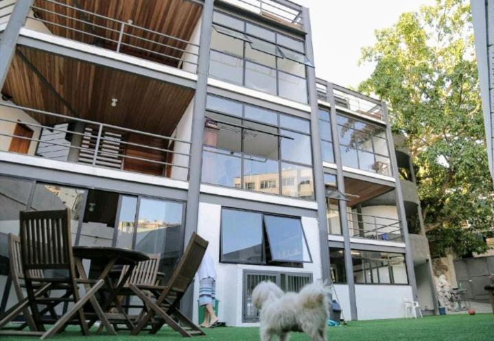 een witte hond die voor een gebouw staat bij Babeu suites independentes in Rio de Janeiro