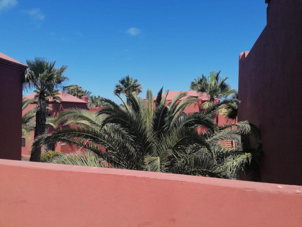 Fotografie z fotogalerie ubytování Oasis Waves House v destinaci Corralejo