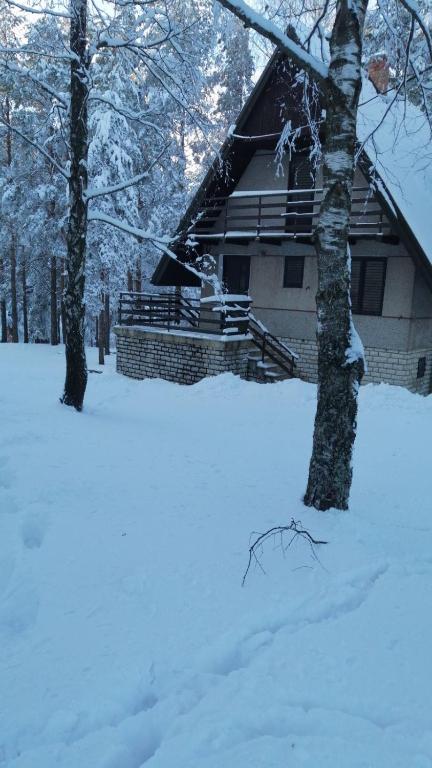 PLANINSKA VILA SMIGIC v zimě
