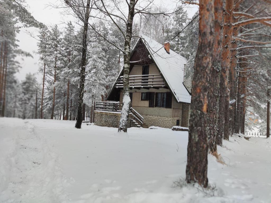 PLANINSKA VILA SMIGIC v zimě