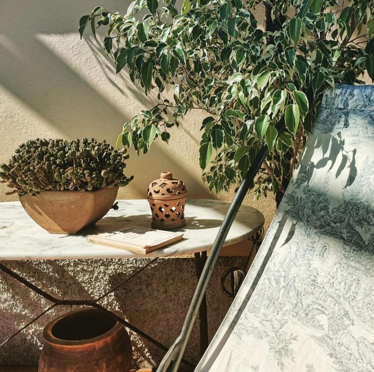 une étagère avec des plantes en pot au-dessus de celle-ci dans l'établissement Agriturismo i Gessi, à Calvignano