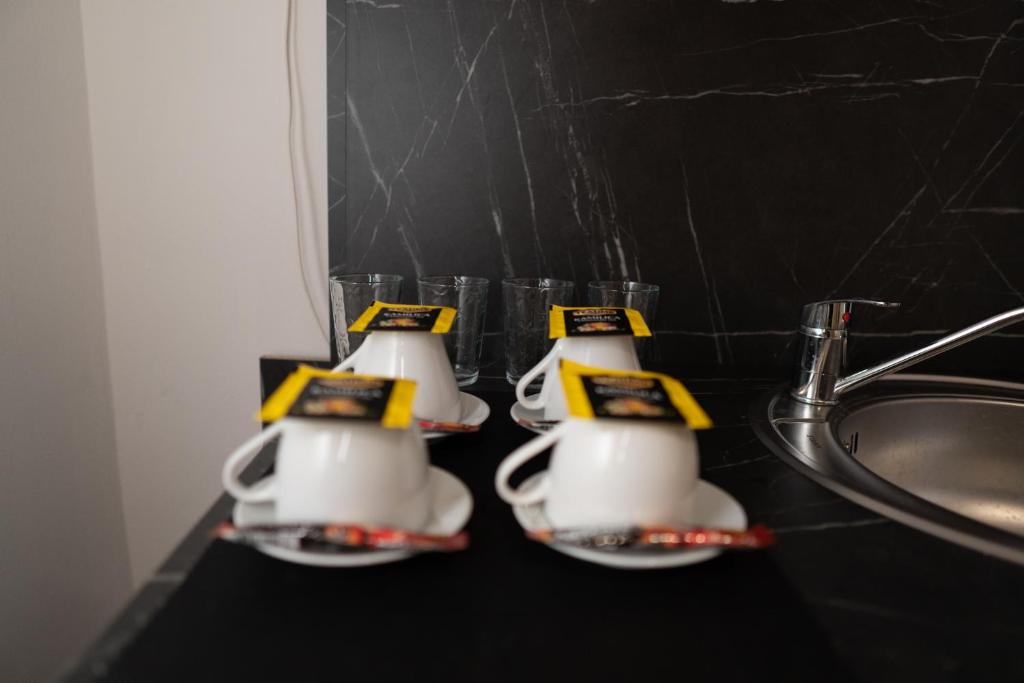 Fotografie z fotogalerie ubytování The Only One Apartments v destinaci Niš