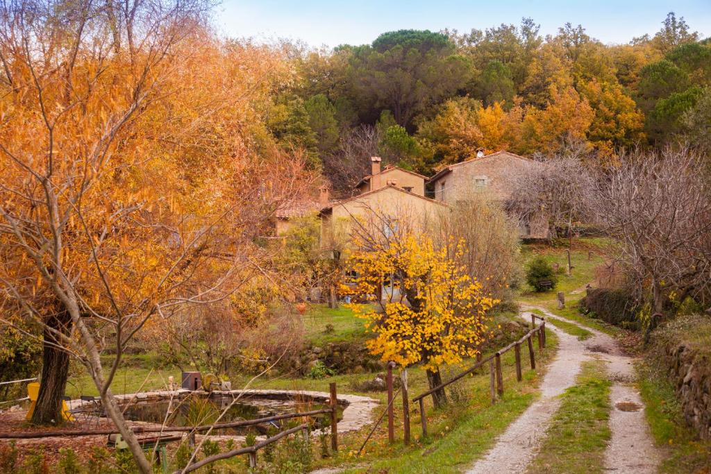 une route de campagne avec une clôture dans un champ dans l'établissement Podere Tepolino, à Castel del Piano
