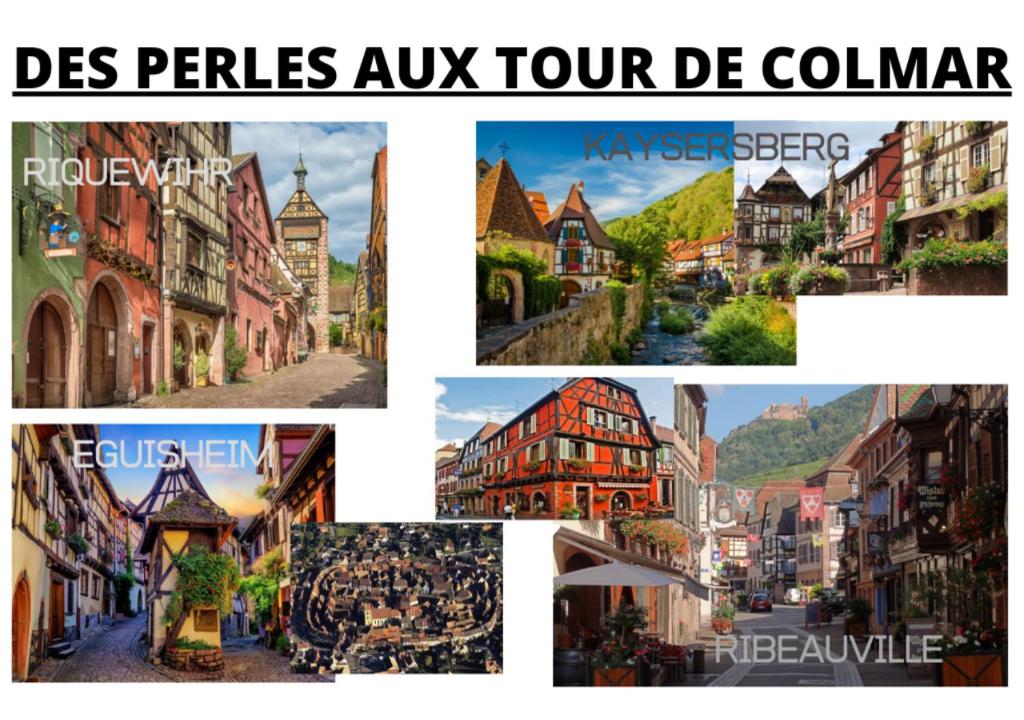 Peyerimhoff Colmar - 3 Chambres - 8 Pers - Clim – photo 24