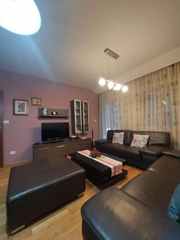 - un salon avec un canapé et une télévision dans l'établissement Apartman Sara 2, à Podgorica