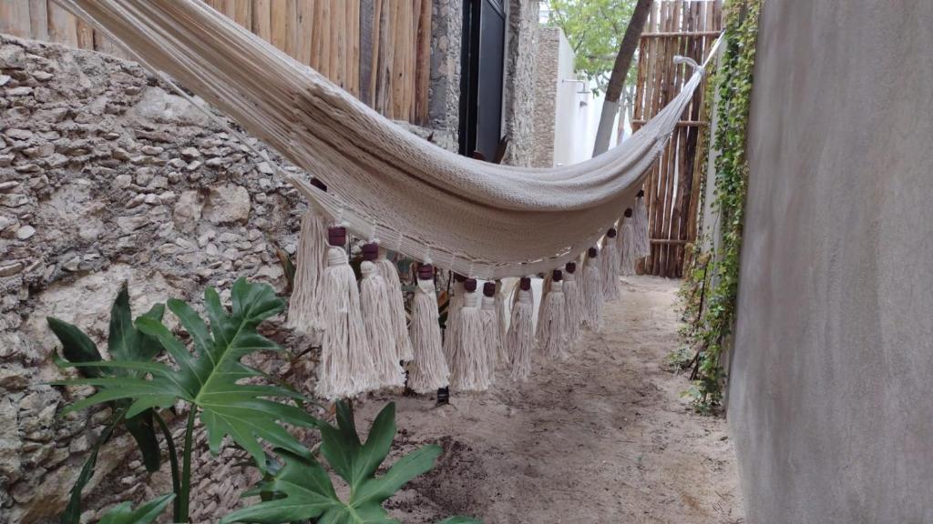 Fotografie z fotogalerie ubytování Piña Coloradas Ecolodge v destinaci Yuluc