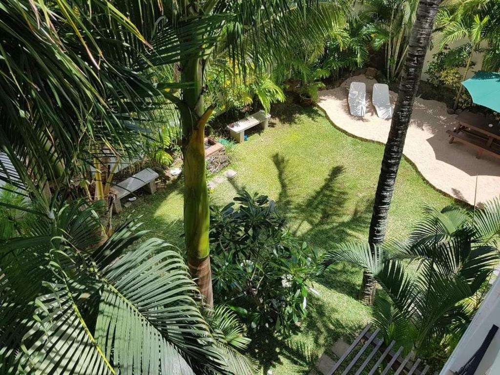 an overhead view of a garden with a palm tree at La Perla Holiday Apartments in Pereybere