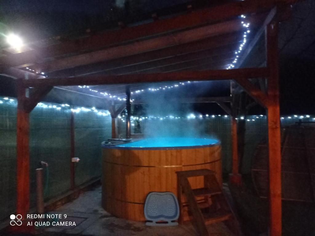 Cabana Piatra Plaiului - Housity