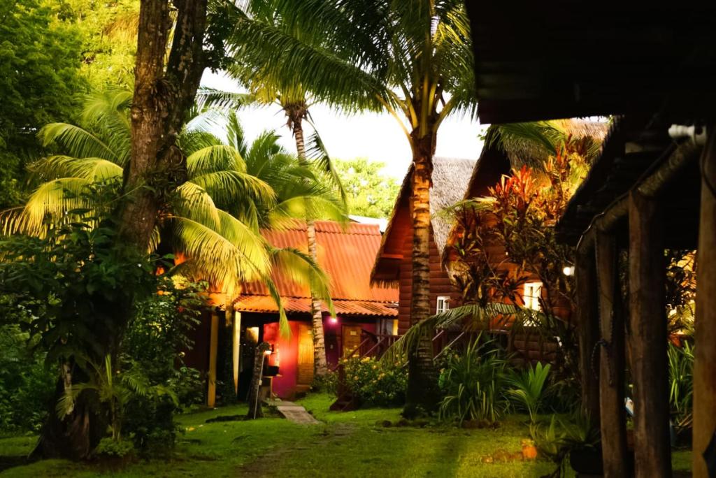 un groupe de maisons avec des palmiers dans la cour dans l'établissement Rancho Estero, à Santa Catalina