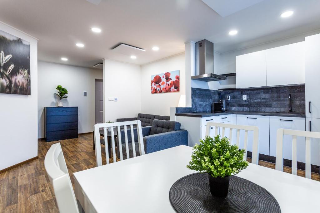 a kitchen and living room with a white table and chairs at Apartmány Na Výhledech in Loučná pod Klínovcem
