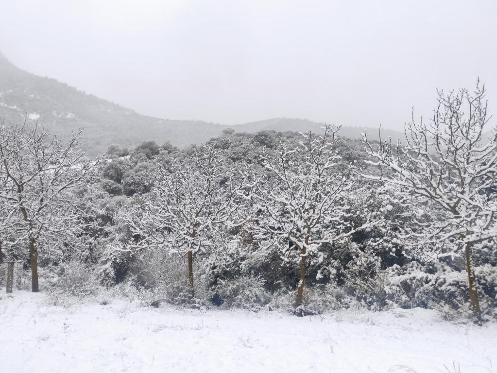 oneiropagidasuites - 17