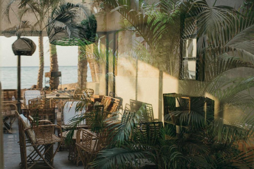 Restaurace v ubytování Dar Dahab