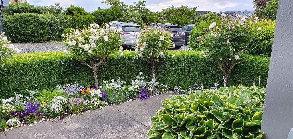 Dunluce Boutique B&B - Resim 17