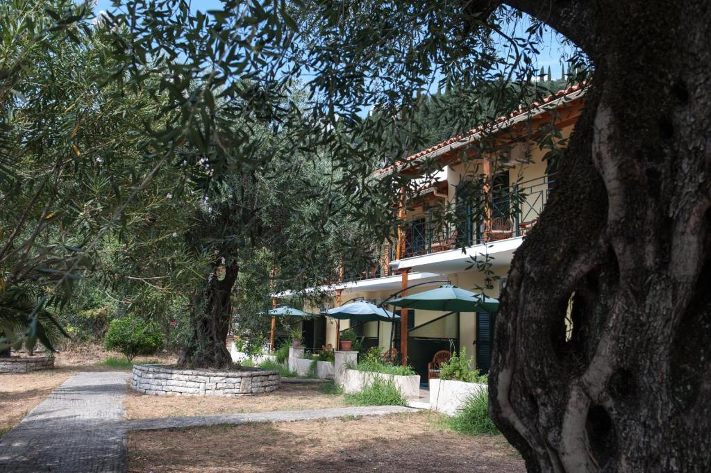 a building with a tree in front of it at Villa Rita & Helena in Kalami