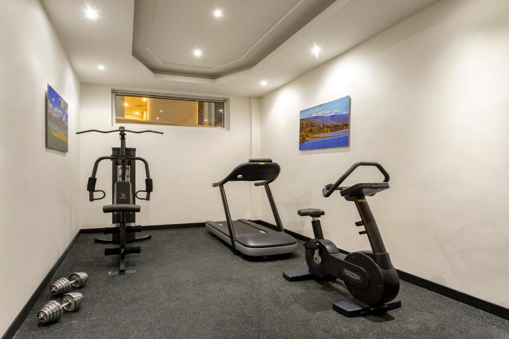 Fitness centrum a/nebo fitness zařízení v ubytování Citadines City Centre Tbilisi