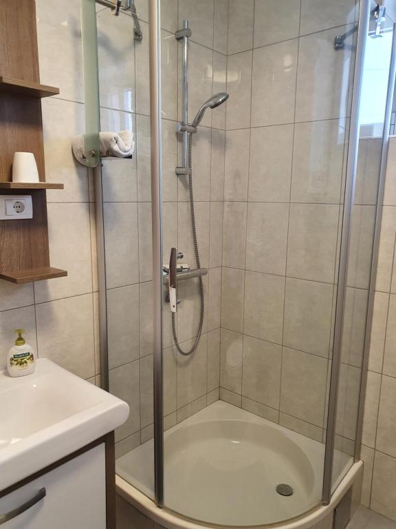 eine Dusche mit Glastür im Bad in der Unterkunft Slavuj in Novi Sad