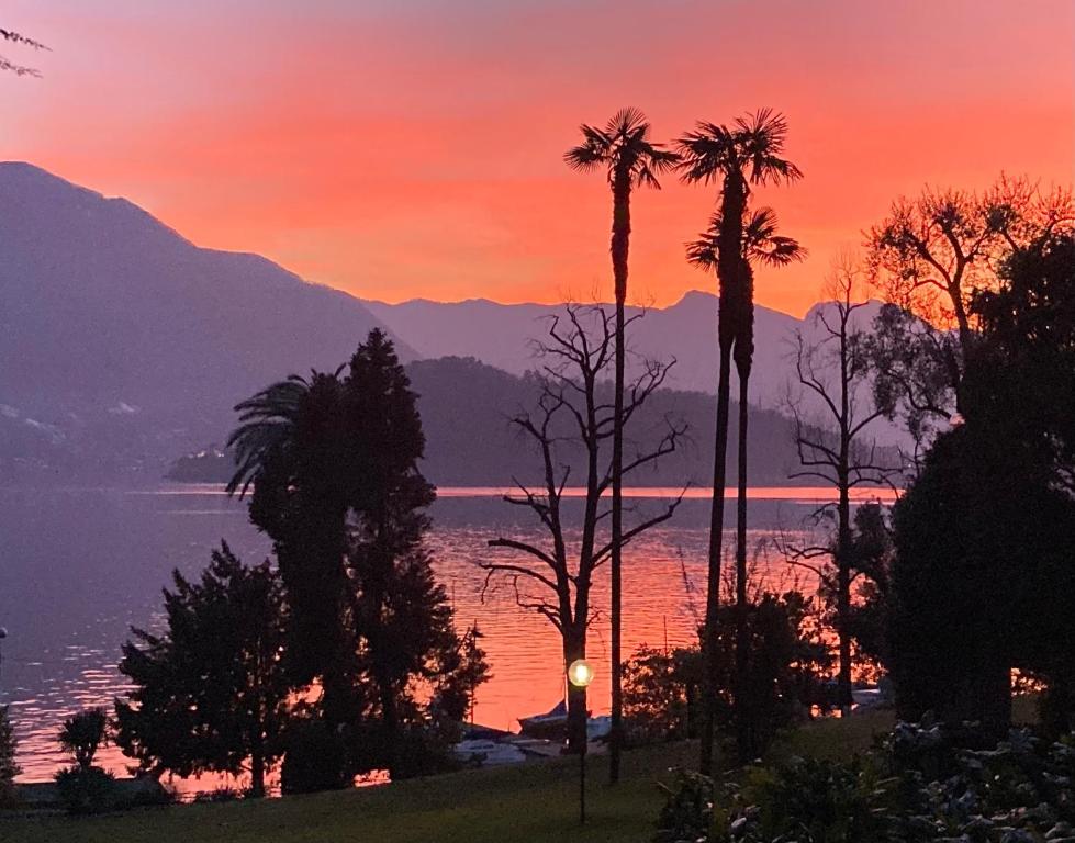 um pôr-do-sol sobre um lago com palmeiras e montanhas em Villa Lina em Tremezzo