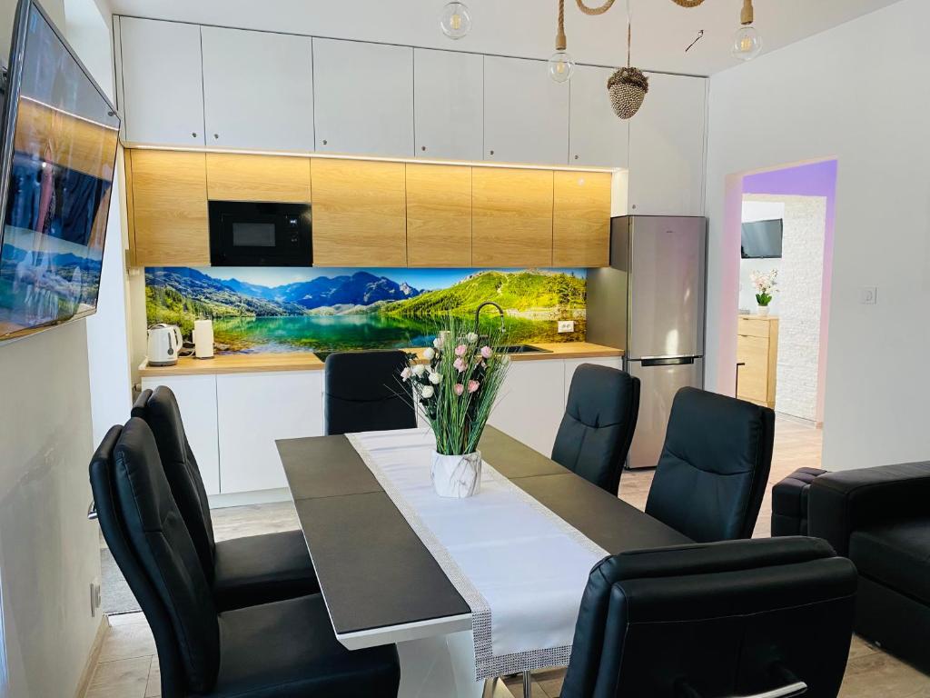Televízia a/alebo spoločenská miestnosť v ubytovaní Apartament Rodzinny Centrum Zakopane