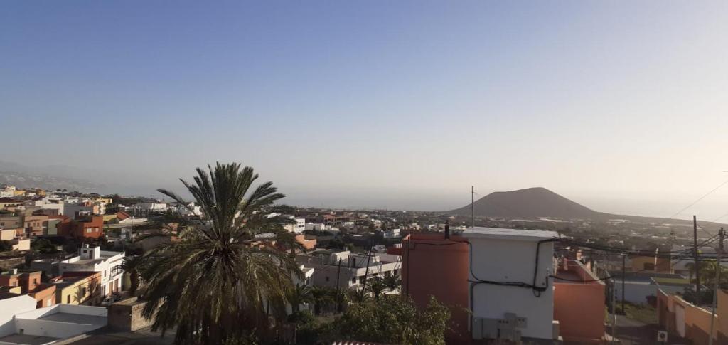 a city with a palm tree and mountains in the background at CASA SARA (SARA'S HOUSE) in Güimar