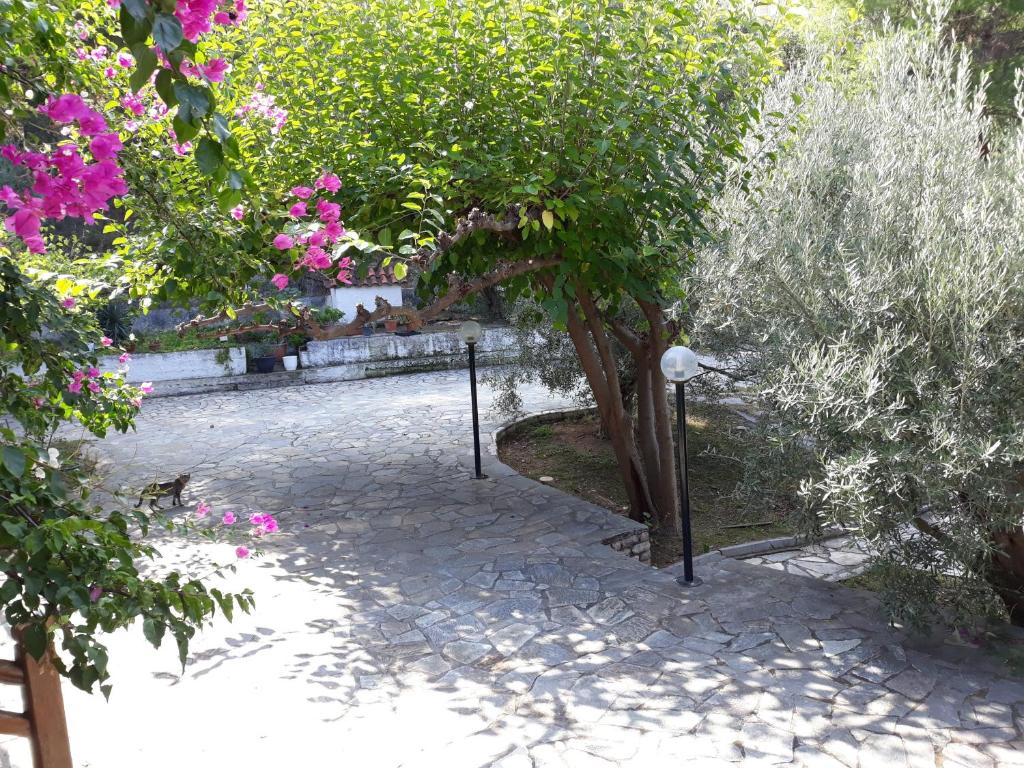 een tuin met een boom en roze bloemen bij Σπίτι σε ελαιώνα, house in an olive grove in Ária