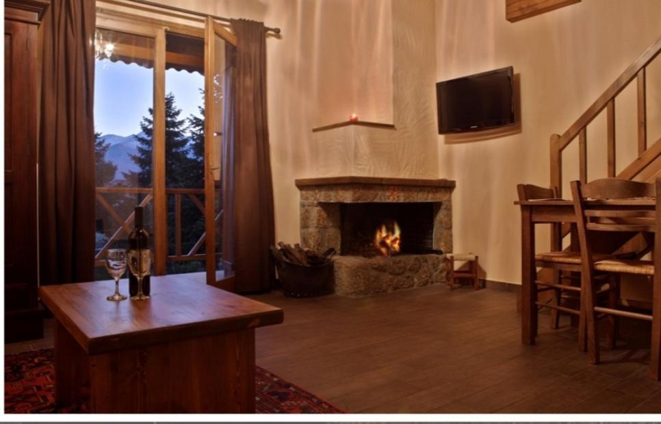 sala de estar con chimenea y chimenea en Guesthouse Elaia, en Synikia Mesi Trikalon