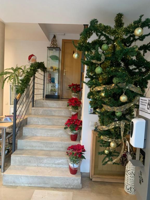 Fotografie z fotogalerie ubytování Hotel Cosmos Tarragona v destinaci Tarragona
