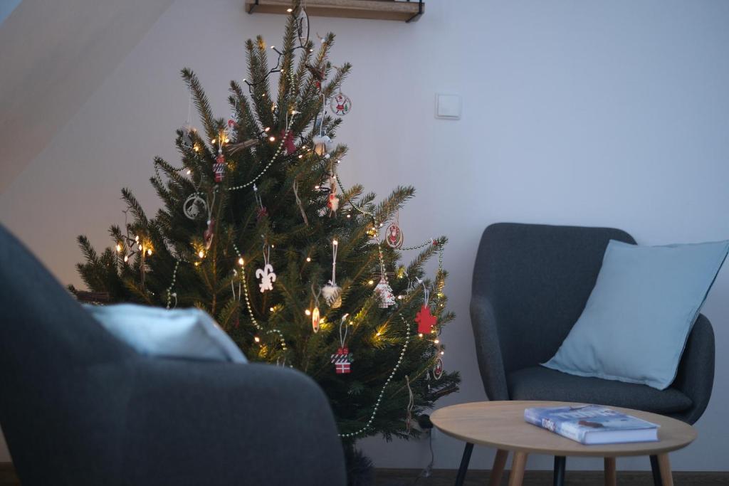 a christmas tree in a living room next to a couch at Apartamenty widokowe Zakopane in Zakopane