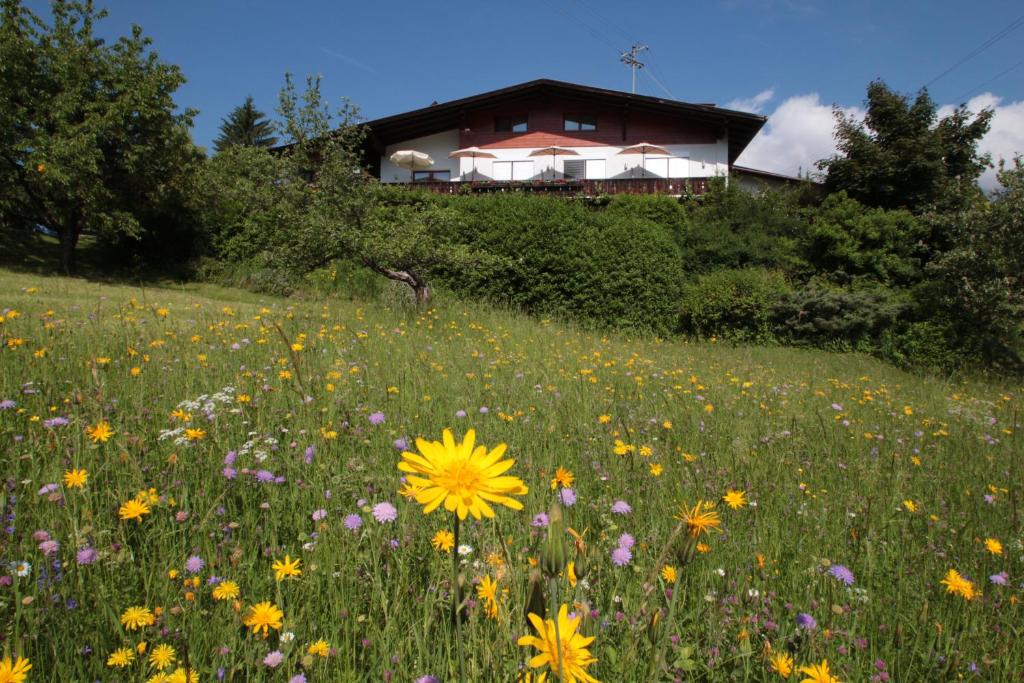 Zahrada ubytování Haus Alpenglühn