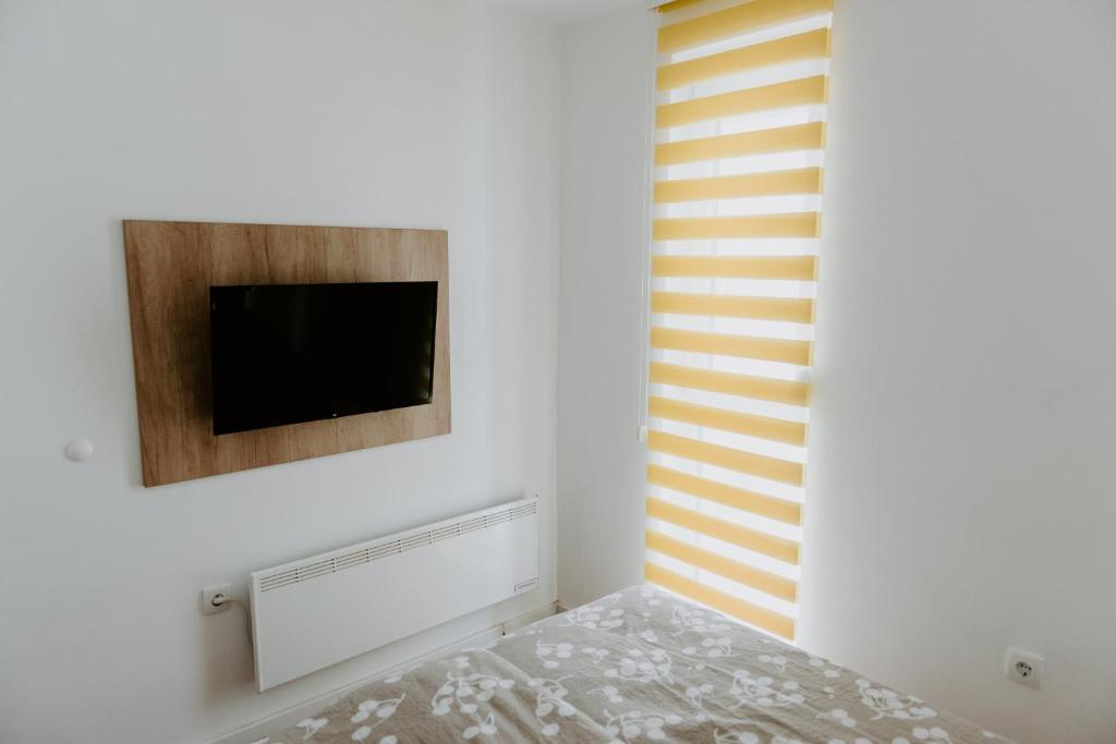 Una televisión o centro de entretenimiento en Apartman SREBRNA PAHULJA