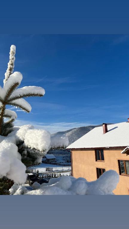 Příroda nedaleko hotelu