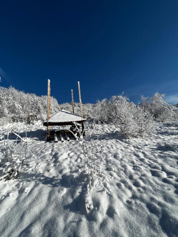 Купецький Двір v zimě