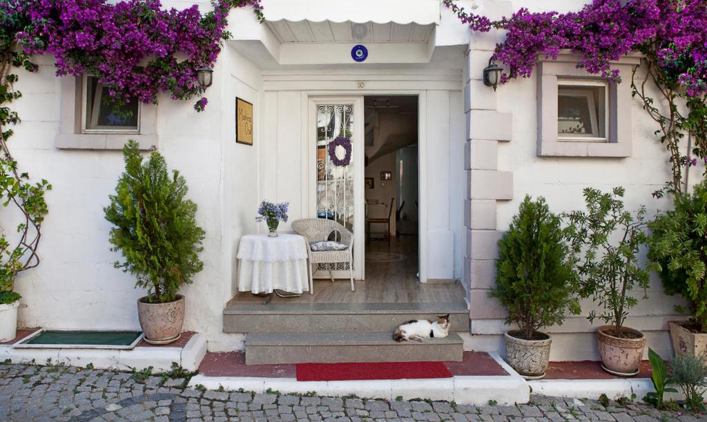 The facade or entrance of Moshinos Hotel