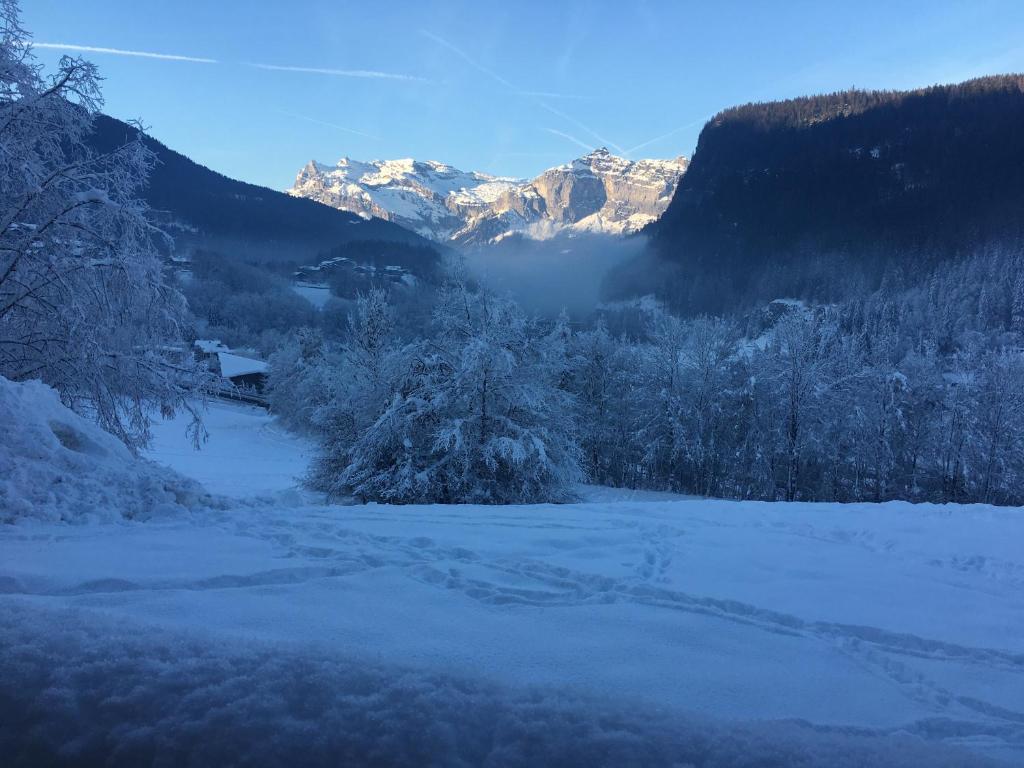 Vallée de Chamonix au pied des pistes kapag winter