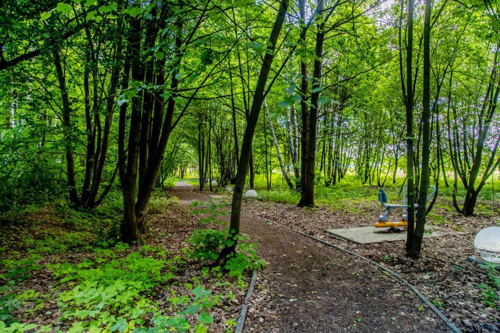 JJ Sport Concept Hotel - Resim 35