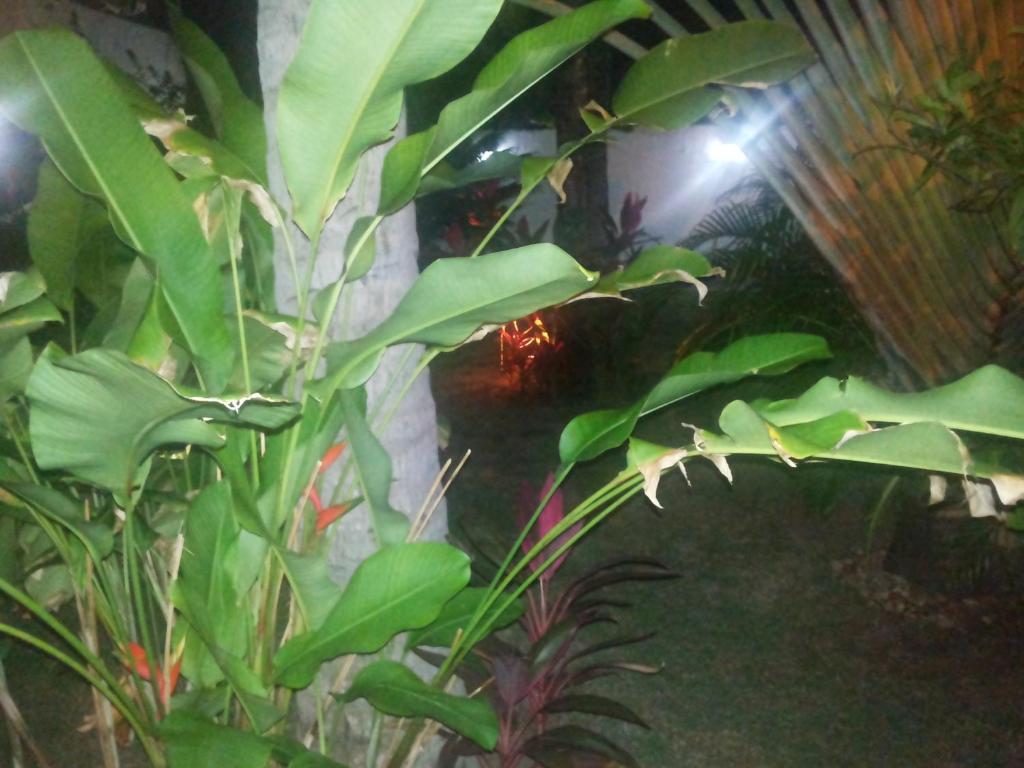  B&B JPA Casa ANSELMO