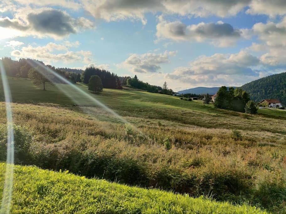 a field with a sprinkler in the middle of it at le Cozy du Poli in Xonrupt-Longemer