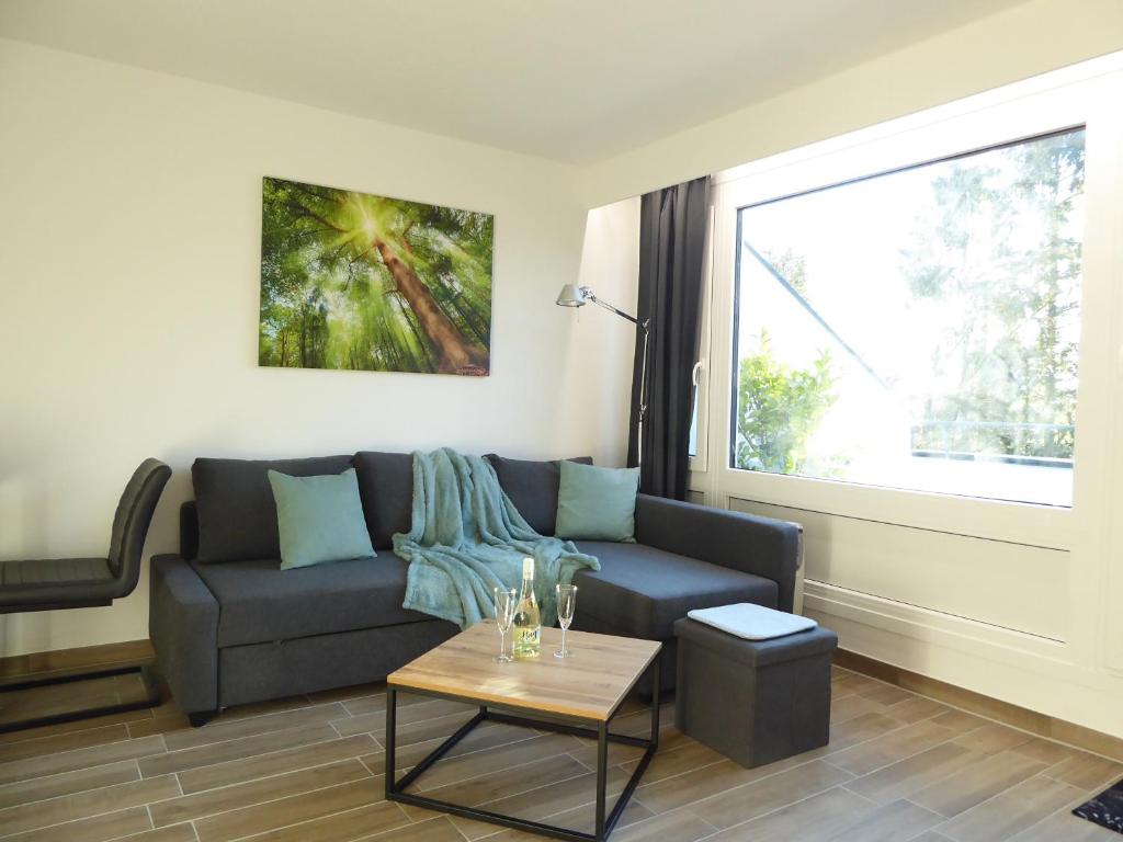 a living room with a couch and a window at Sunshine Winterberg Ferienwohnung Pool Sauna Terrasse Wifi in Winterberg