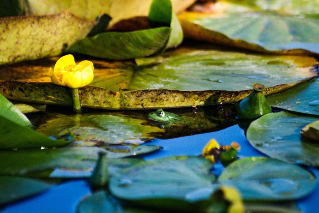 Fotografie z fotogalerie ubytování Glemuria v destinaci Kętrzyn